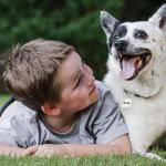 Personalized Stainless Steel Pet ID Tags - Cute Designs