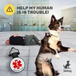 Custom Glow-in-the-Dark Service Dog Tag