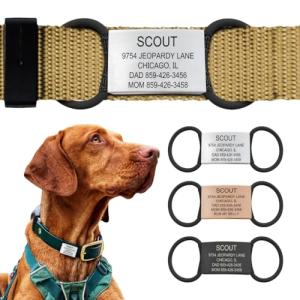 Personalized Jingle-Free Dog Tags - Durable Design