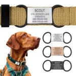 Personalized Jingle-Free Dog Tags - Durable Design