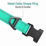 Teal Adjustable Reflective Dog Collar for Large Dogs