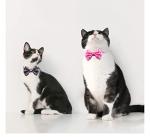 Flymind 18-Piece Adjustable Pet ID Collar Set