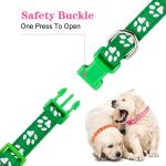 Adjustable Puppy ID Collars with Quick Release Buckle