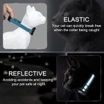 Reflective Cat Collar with AirTag Holder and Bell