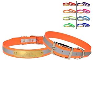 Warner Reflective Dog Collar with Engraved ID Tag