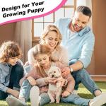 Adjustable Puppy ID Collars with Quick Release Buckle