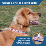 Custom Reflective Dog Collar with Name and Phone Number