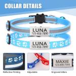 Personalized Breakaway Cat Collars with Name Tags