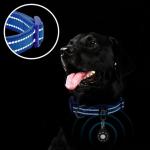 Reflective Royal Blue Dog Collar with Airtag Holder