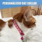 Personalized Breakaway Cat Collars with Name Tags