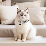 Personalized Reflective Cat Collar with QR Code Bell