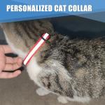 Personalized Breakaway Cat Collars with Name Tags
