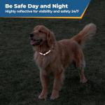 Personalized Reflective Dog Collar with Embroidery