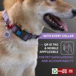 Reflective Eco-Friendly Dog Collar with QR ID Tag