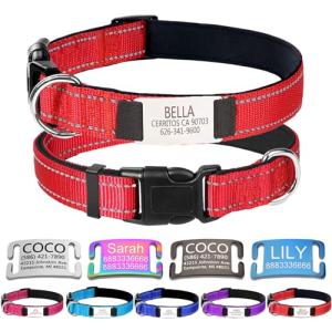 Custom Engraved Dog Collars with Reflective Nylon