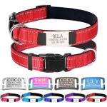 Custom Engraved Dog Collars with Reflective Nylon