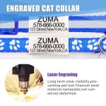 Personalized Breakaway Cat Collars with Name Tags