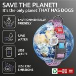 Reflective Eco-Friendly Dog Collar with QR ID Tag