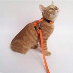 Adjustable Cat Harness and Leash Set - 2 Pack