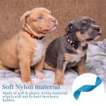 Soft Nylon Adjustable ID Collars for Puppies