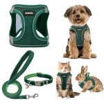 GAMUDA Soft Mesh Pet Harness and Leash Set