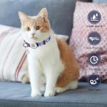 Breakaway Cat Collar with QR Code & Bell
