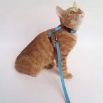 Adjustable Cat Harness and Leash Set - 2 Pack
