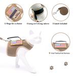 Escape-Proof Tactical Cat Harness and Leash Set