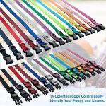 Soft Nylon Adjustable ID Collars for Puppies