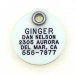 LuckyPet Glow-in-the-Dark Pet ID Tag