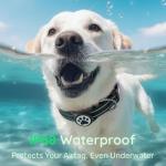 Reflective Dog Collar with Airtag Holder - Black