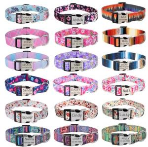 Personalized Floral Dog Collar with Engraved ID