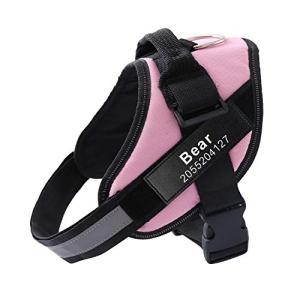 Custom No Pull Dog Harness with Name Tag