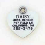 LuckyPet Glow-in-the-Dark Pet ID Tag