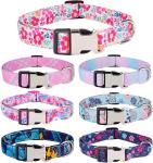 Personalized Floral Dog Collar with Engraved ID