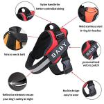 Custom No Pull Dog Harness with Name Tag