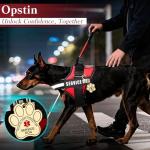Service Dog Vest with ID Tag and Cards