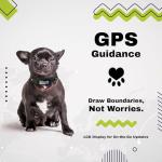 Custom GPS Dog Collar with Safe Zone & App