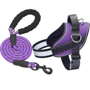 Haapaw No Pull Dog Harness for Small Dogs