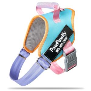 Custom No Pull Dog Harness with Name & Phone Number