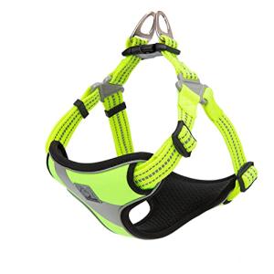 Truelove Anti-Pull Step-In Dog Harness - Neon Yellow