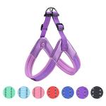 Adjustable No Pull Dog Harness with Leash Clips