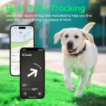 Reflective Dog Collar with Airtag Holder - Black