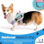 Custom No Pull Dog Harness with Name & Phone Number