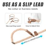 Hands-Free Dog Leash with Crossbody Design