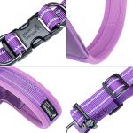 Adjustable No Pull Dog Harness with Leash Clips