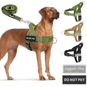 Heavy Duty No Pull Dog Harness with Leash