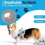 Custom No Pull Dog Harness with Name & Phone Number