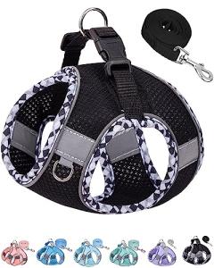 No Pull Dog Harness and Leash Set for Small Dogs