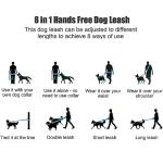 Hands-Free Dog Leash with Crossbody Design